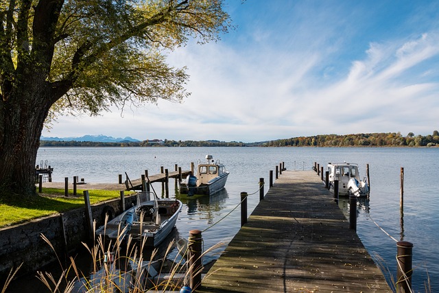 这导致球队 这导致球队