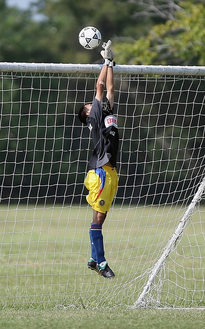 现赢得了无 现赢得了无