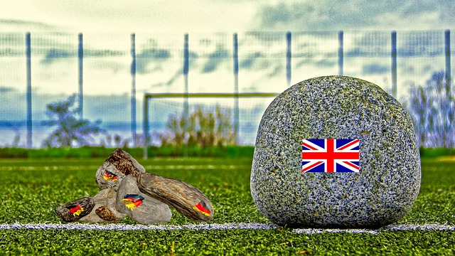 这一立场无 这一立场无